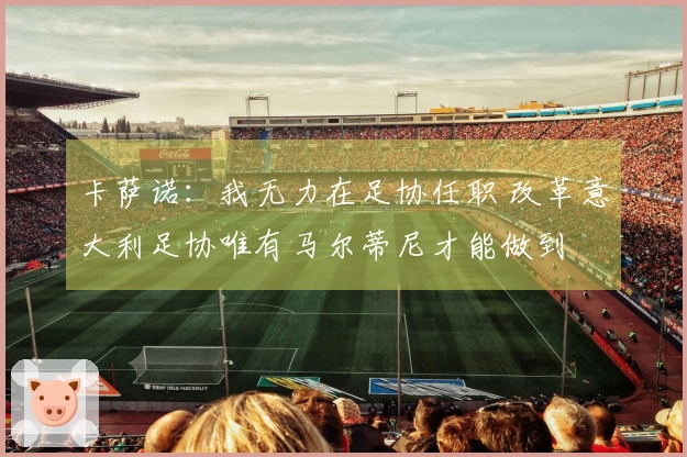 卡萨诺：我无力在足协任职 改革意大利足协唯有马尔蒂尼才能做到